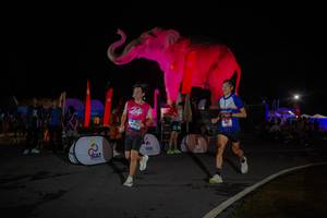 BIB: 
                            <button type="button" onclick="openModal(26551908)" class="btn btn-primary btn-sm float-right btn-popup" data-toggle="modal" data-target=".modal-high-quality">
                        <i class="fas fa-shopping-cart"></i> Add to Cart
                    </button>
                                            <button type="button" onclick="isThisMe(26551908, true)" class="btn btn-success btn-sm float-right btn-popup btn-isme hidden" data-toggle="tooltip" data-placement="bottom" title="นี่คือรูปของคุณใช่ไหม คลิกที่นี่เพื่อเอาเข้าอัลบั้ม">
                        <i class="fas fa-plus"></i> Add to album
                    </button>
                    <button type="button" onclick="isThisMe(26551908, false)" class="btn btn-warning btn-sm float-right btn-popup btn-isnotme hidden">
                        <i class="fas fa-ban"></i> Remove from album
                    </button>